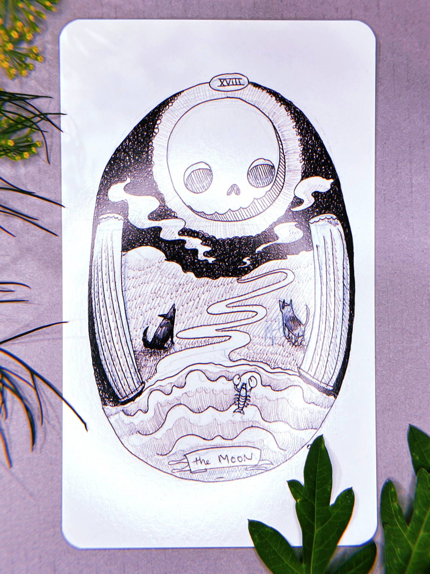 The Skeleton Tarot Deck