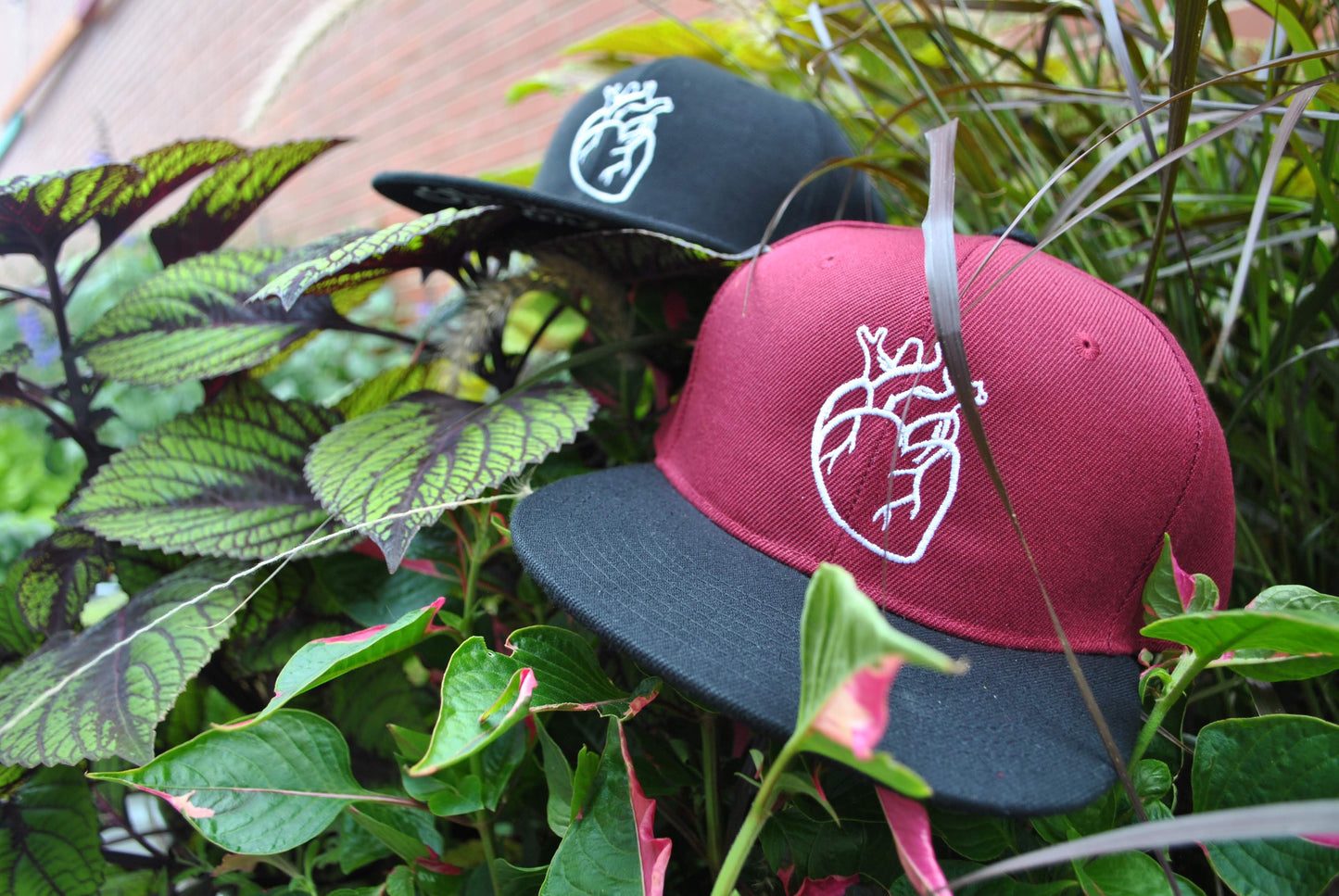 Hearts Not Parts Unisex Snapback Hat