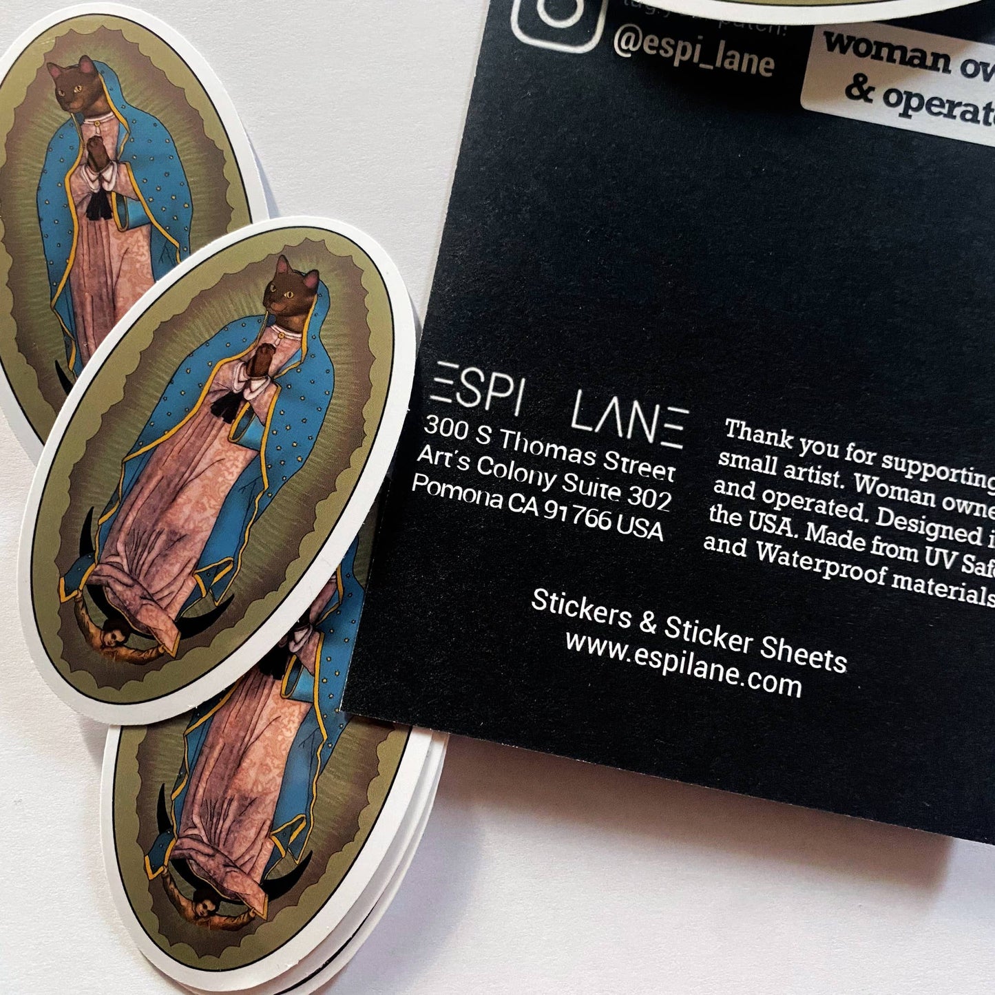 Virgin Mary Guadalupe Cat Funny Novelty Vinyl Decal Sticker