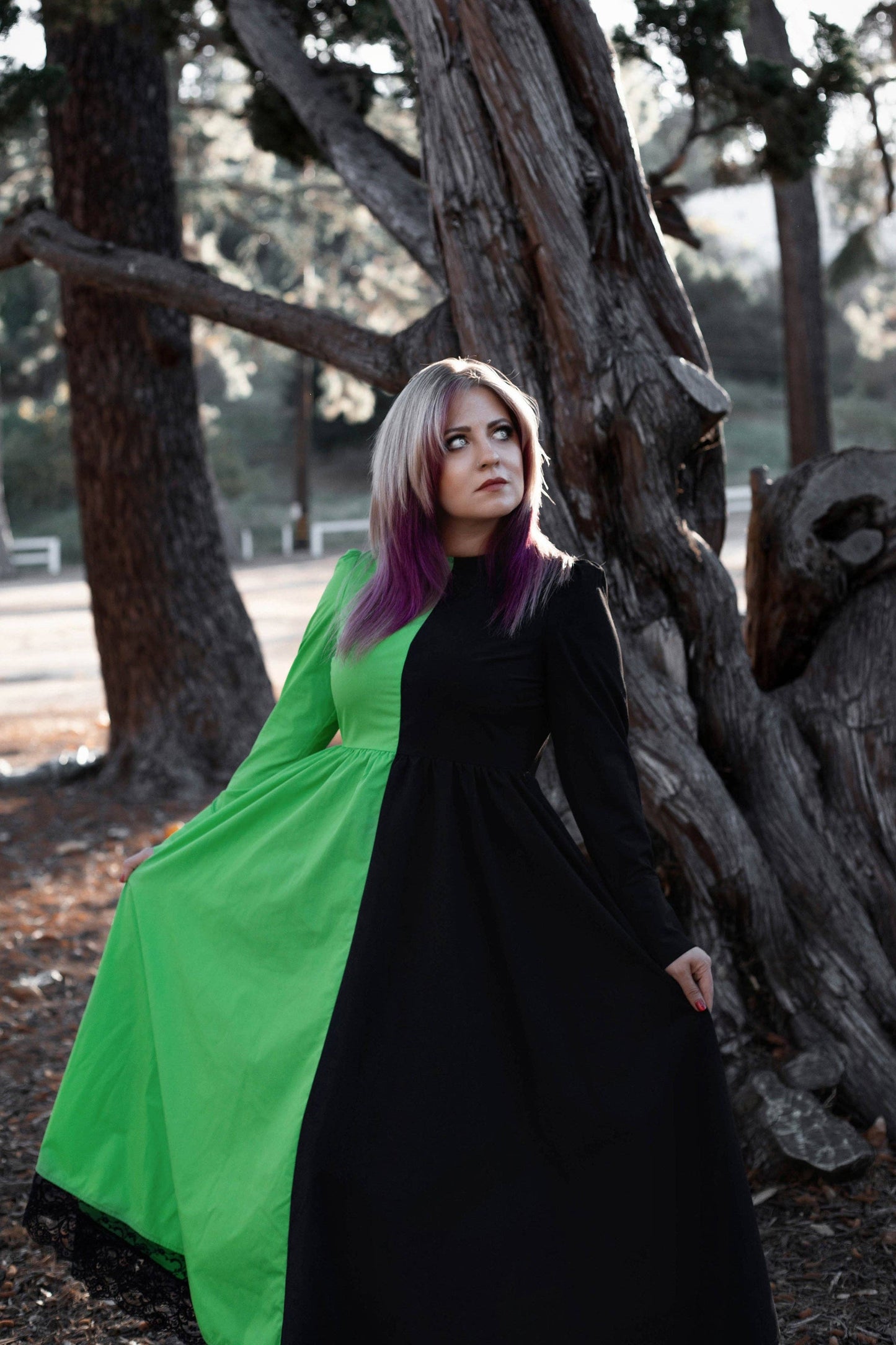 Wicked Lady Dress (XS - 4XL)